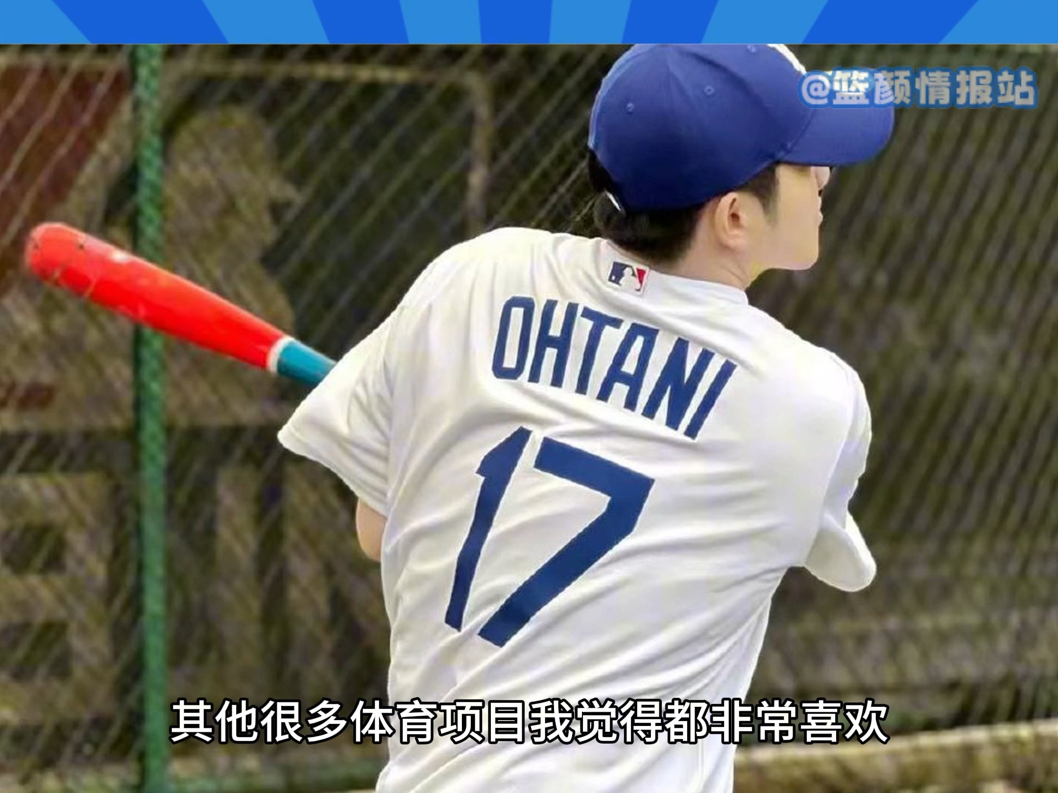 比利时乒乓球队轻取日本乒乓球队，樊振东完成帽子戏法的简单介绍