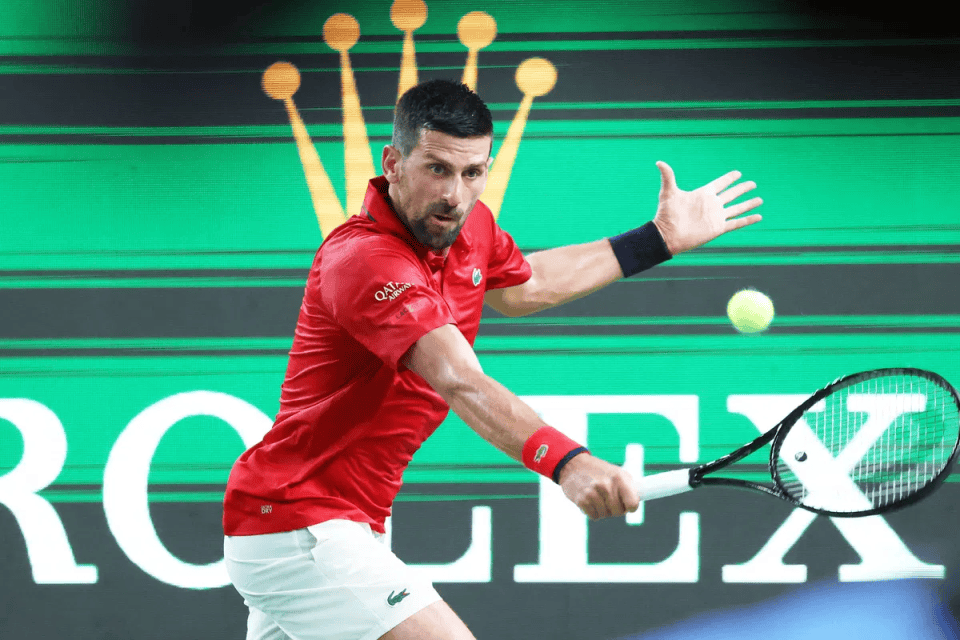 ATP总决赛险胜澳网，德约科维奇点燃赛场