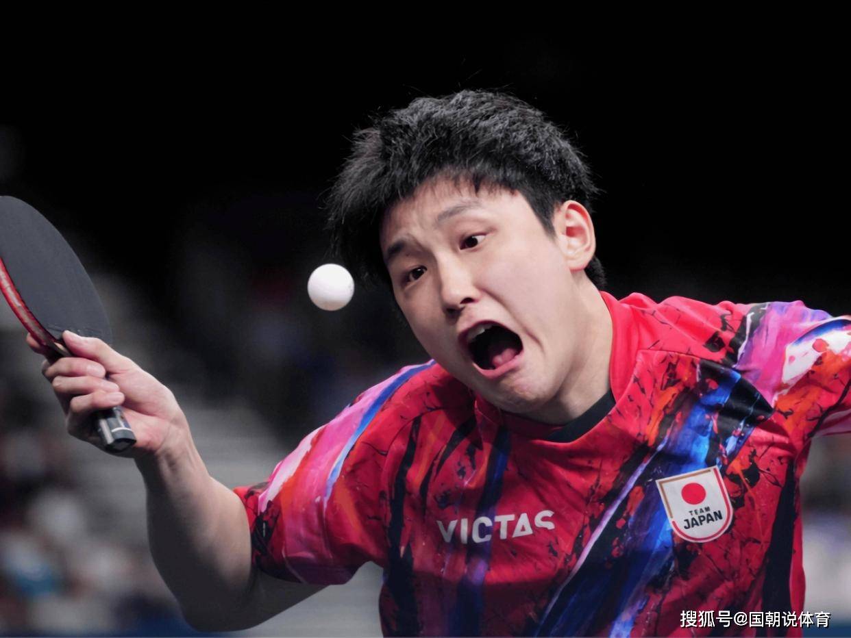 法国队力克瑞典队，张本智和点燃赛场的简单介绍
